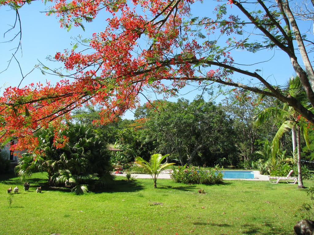 Hotel Quinta Celeste La Garita  Esterno foto